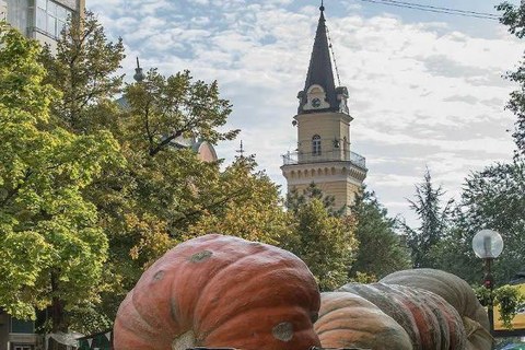 Тыквы-гиганты на фестивале, за ними башня городской церкви Кикинды