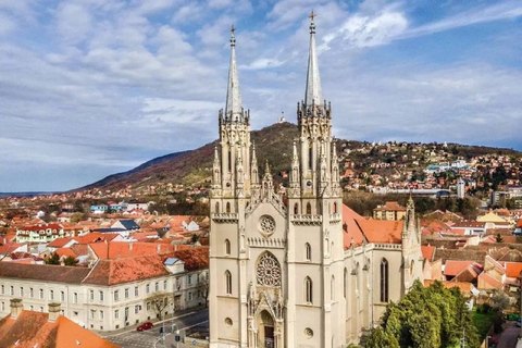 Готический собор Вршаца с двумя шпилями над черепичными крышами, за ним холм